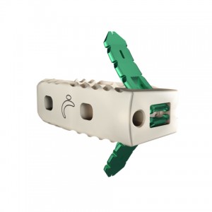 Avenue L Lateral Lumbar Cage